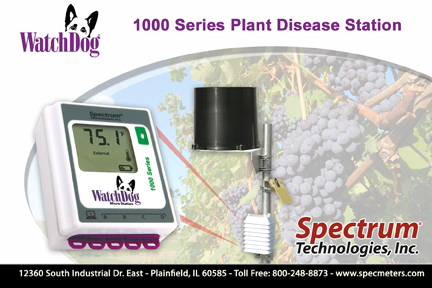 1000_Series_Plant_Disease_72