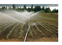 irrigation_photo1
