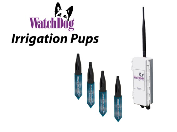 Irrigation Sensor Pups