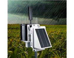 WatchDog 3220 Wireless Rain Station